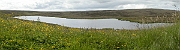 David Plant Photography - Wildlife Photographer - Lowrie's Pool - Orkney